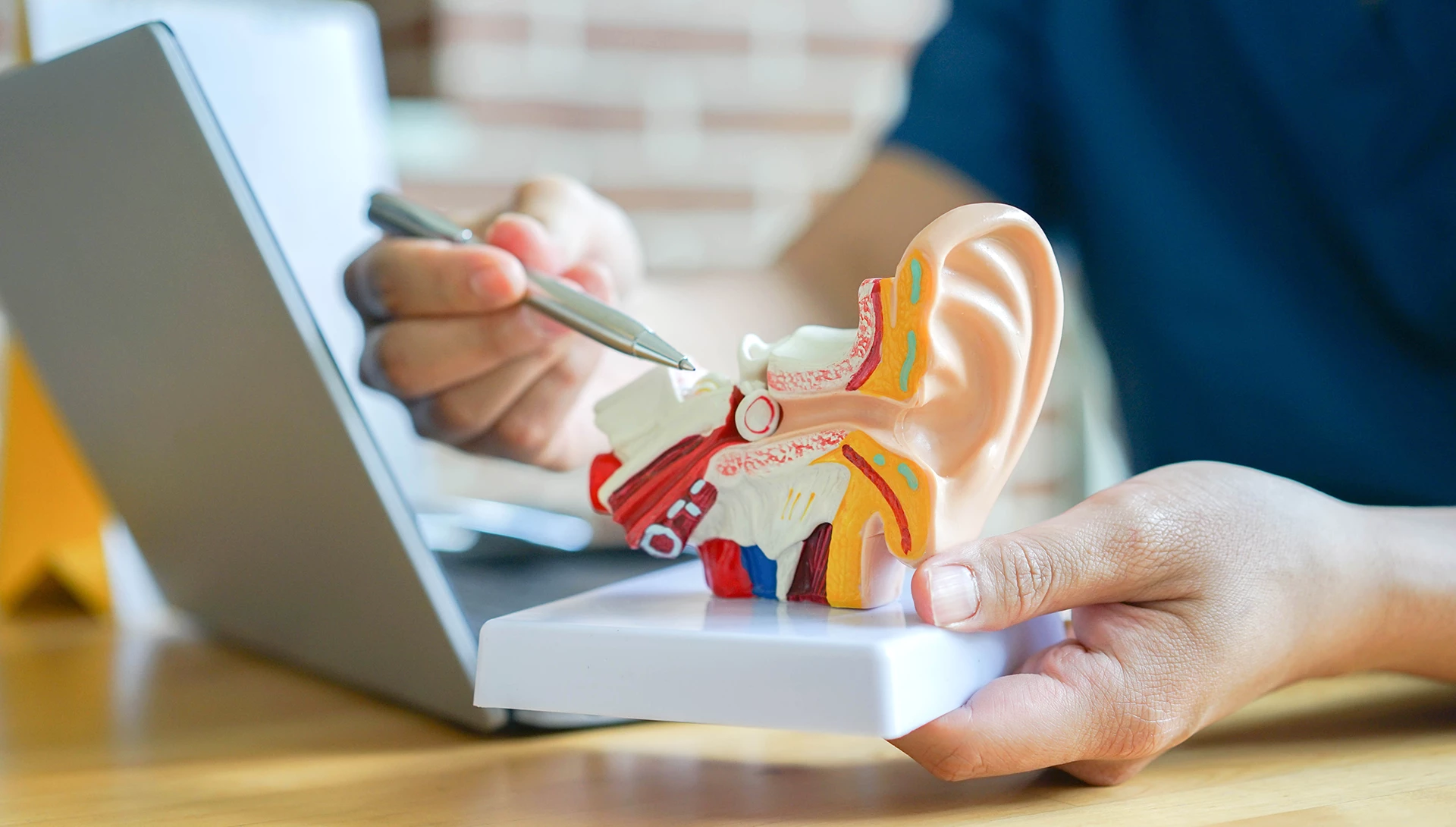 Spezialist für Tinnitus in Wien HNOPraxis Dr. Pötschner & Dr. Weißenbäck